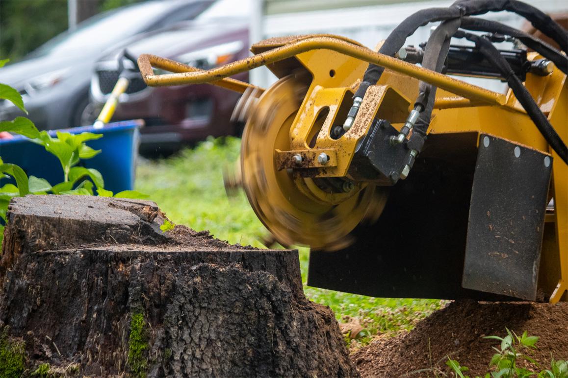 image of a stump grinder grinding a stump